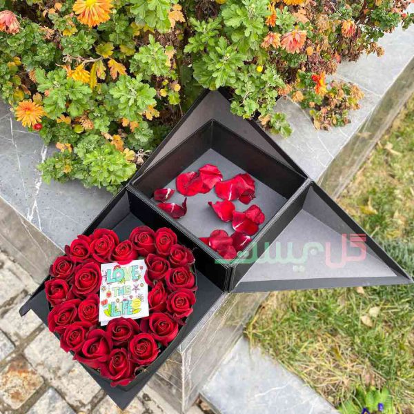 باکس گل دو تکه مشکی با گل های رز هلندی - ارسال رایگان گل با گل فروشی آنلاین گل بیست