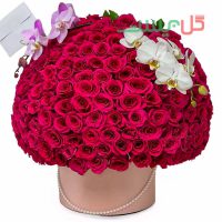 باکس گل رز 200 شاخه ستوده - خرید جعبه گل رز لاکچری برای تولد